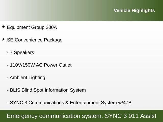 2019 Ford EcoSport SE