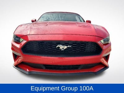 2019 Ford Mustang EcoBoost
