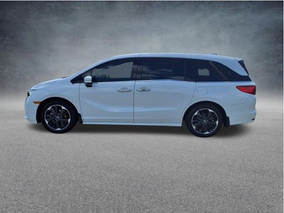 2024 Honda Odyssey Elite
