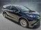 2026 Toyota Sienna XLE 7 Passenger
