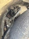2013 Toyota Tacoma Base V6